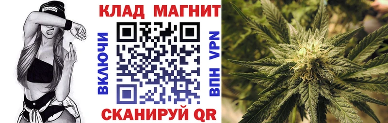 Как найти наркотики Мостовской Канабис Codein Гашиш Псилоцибиновые грибы