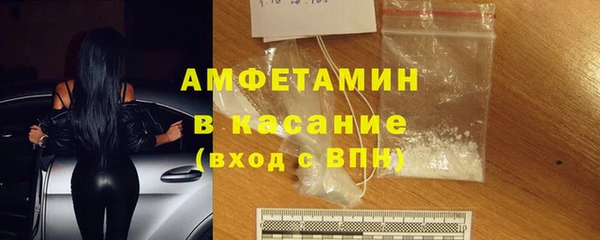 прущие грибы Мегион