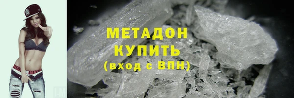 прущие грибы Мегион