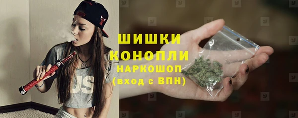 прущие грибы Мегион