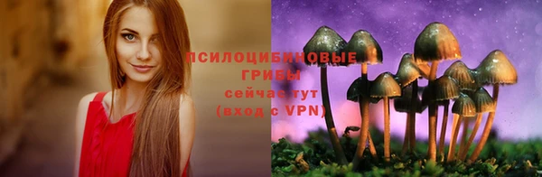 mdma Медногорск