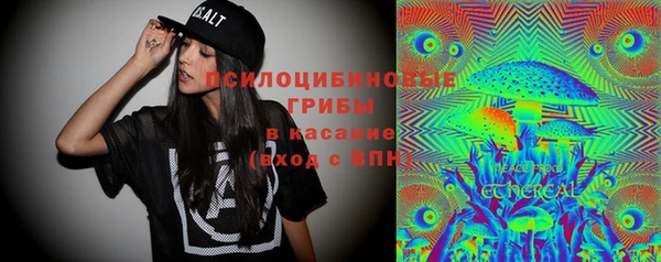 прущие грибы Мегион