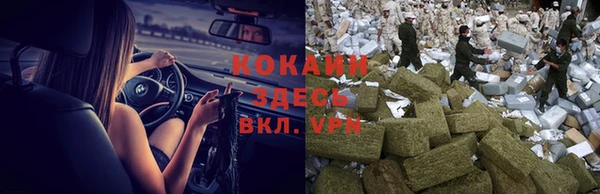 прущие грибы Мегион